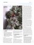 Page: - 100 | High Times