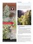Page: - 104 | High Times