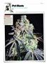 Page: - 120 | High Times
