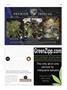 Page: - 125 | High Times