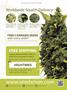 Page: - 3 | High Times