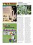 Page: - 36 | High Times