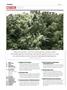 Page: - 4 | High Times