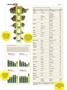 Page: - 40 | High Times