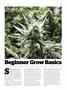 Page: - 45 | High Times