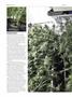 Page: - 46 | High Times