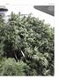 Page: - 47 | High Times