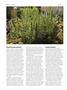 Page: - 64 | High Times