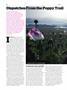 Page: - 82 | High Times