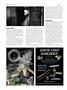Page: - 88 | High Times