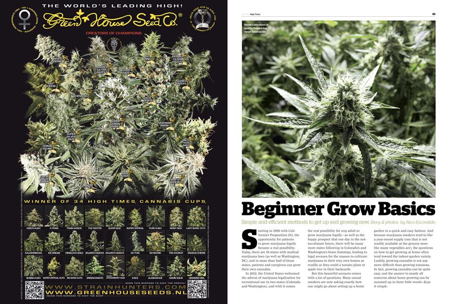 Beginner Grow Basics