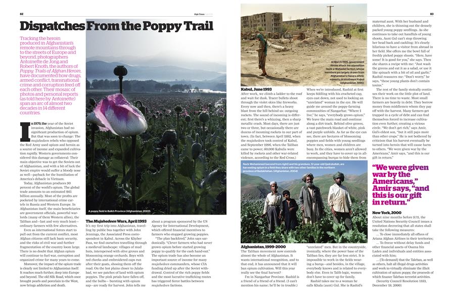 Dispatches From the Poppy Trail