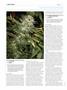 Page: - 100 | High Times