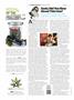 Page: - 110 | High Times