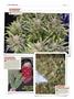 Page: - 124 | High Times
