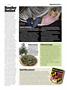 Page: - 23 | High Times