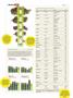 Page: - 40 | High Times