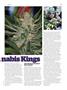 Page: - 63 | High Times