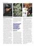 Page: - 66 | High Times