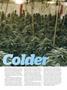 Page: - 75 | High Times