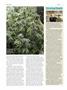 Page: - 78 | High Times