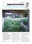 Page: - 99 | High Times
