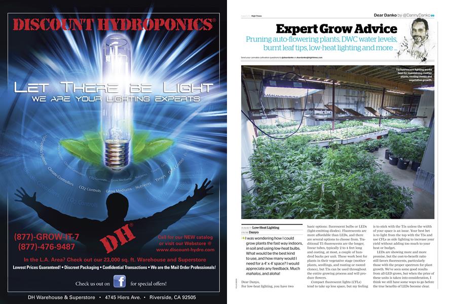 Expert Grow Advice