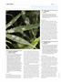 Page: - 100 | High Times