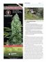 Page: - 104 | High Times