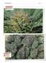 Page: - 122 | High Times