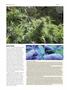 Page: - 64 | High Times