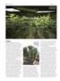 Page: - 66 | High Times