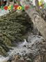 Page: - 81 | High Times