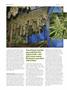 Page: - 82 | High Times