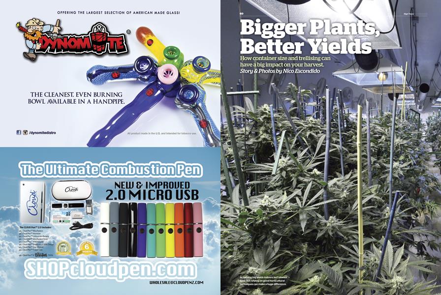 Bigger Plants, Better Yields