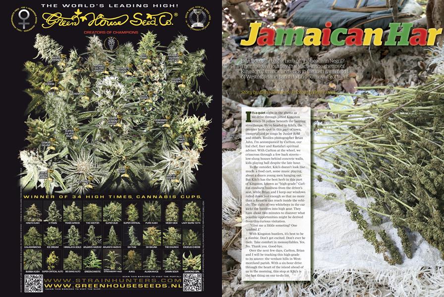 Jamaican Harvest Tour