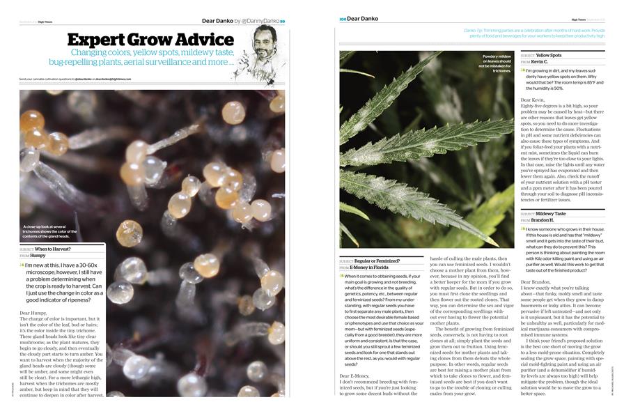 Expert Grow Advice