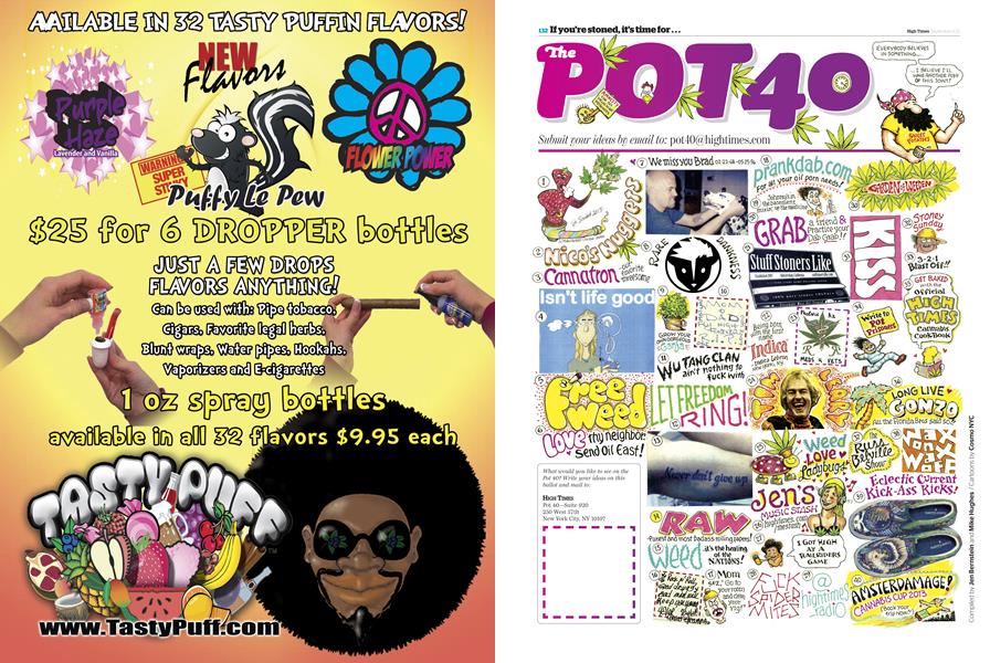 The POT 40