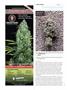 Page: - 104 | High Times