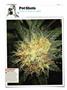 Page: - 120 | High Times