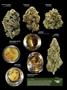 Page: - 15 | High Times