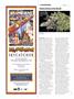 Page: - 36 | High Times