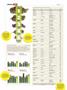 Page: - 38 | High Times