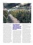 Page: - 66 | High Times