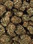 Page: - 69 | High Times