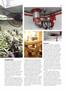 Page: - 83 | High Times