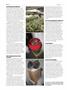 Page: - 84 | High Times
