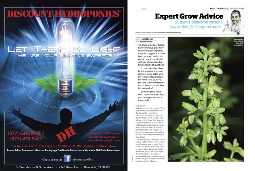 Expert Grow Advice