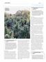 Page: - 100 | High Times