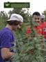 Page: - 12 | High Times